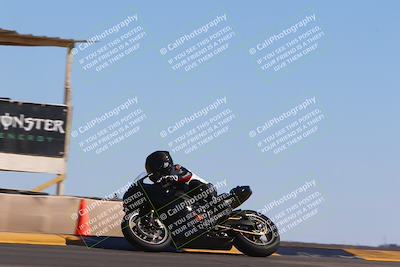 media/Mar-12-2022-SoCal Trackdays (Sat) [[152081554b]]/Turn 9 Side (145pm)/